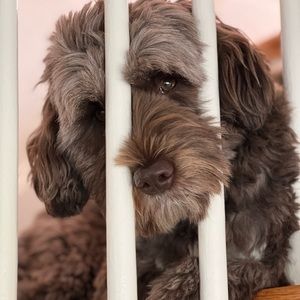 Meet your Posher, Michael t